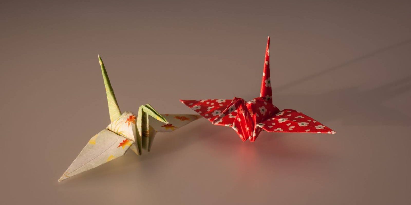 One Sheet, Endless Detail: The Paper Magic of Nahoko Kojima