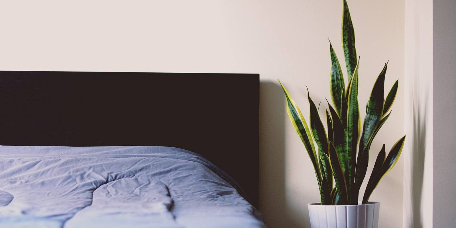 The Calm Bedroom Formula: A Designer's Secrets for Better Rest